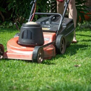 Lawn Care & Maintenance
